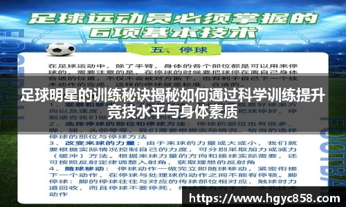 足球明星的训练秘诀揭秘如何通过科学训练提升竞技水平与身体素质
