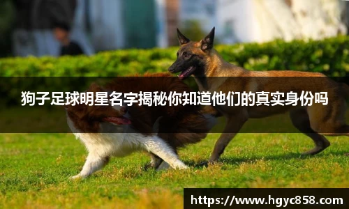 狗子足球明星名字揭秘你知道他们的真实身份吗